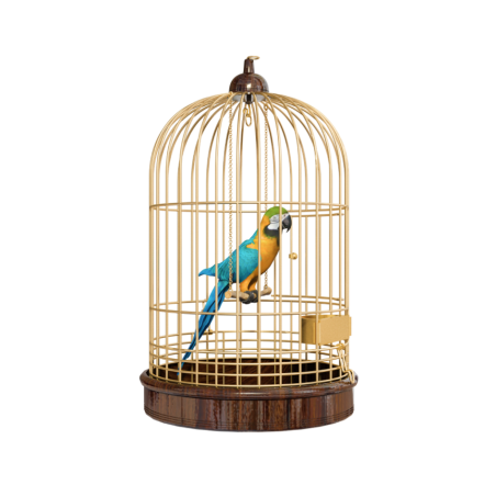Cage For A Parrot